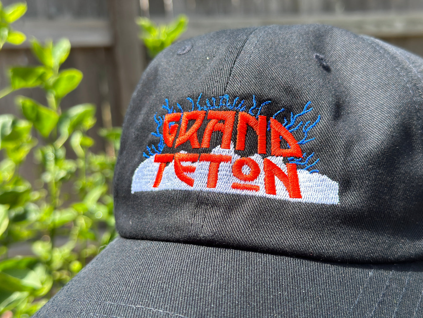 Grand Teton Dad Hat