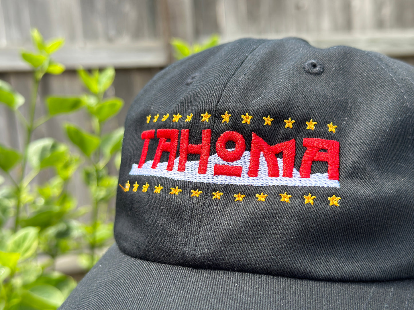 Tahoma Dad Hat