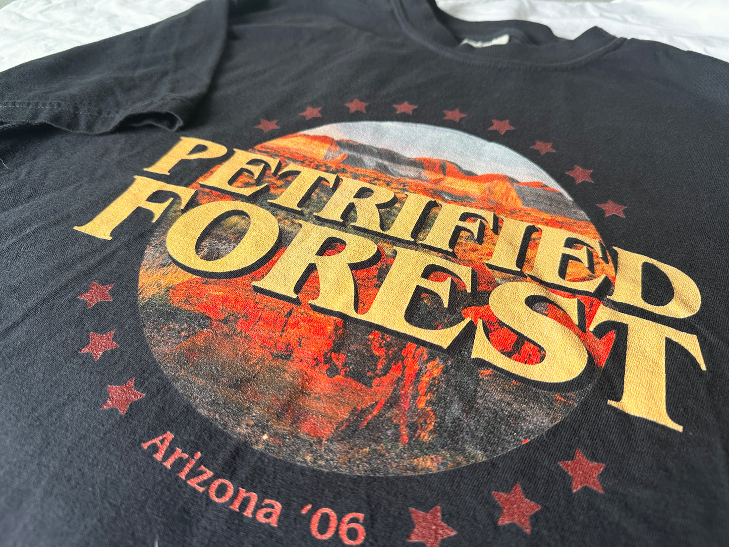 Petrified Forest National Park Shirt - Extended Sizing
