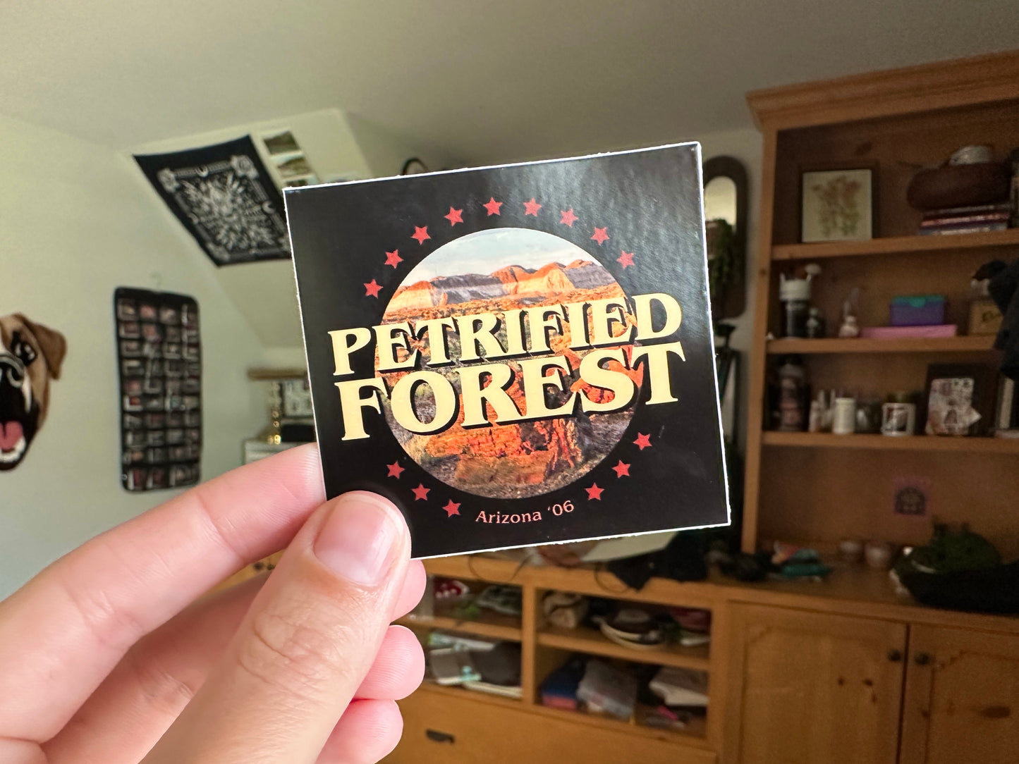 Petrified Forest National Park Sticker