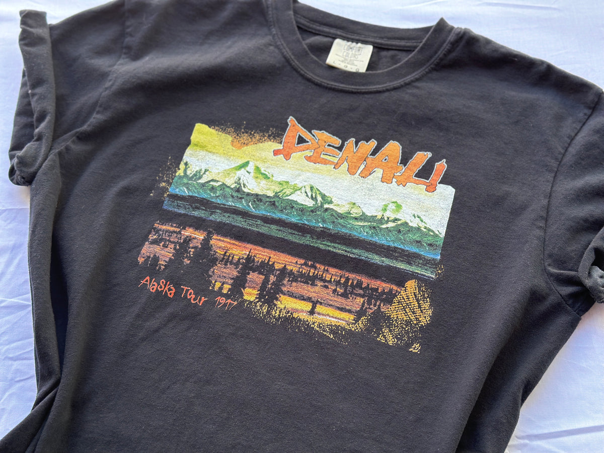 Black t-shirt with 'Denali' graphic design on a white background