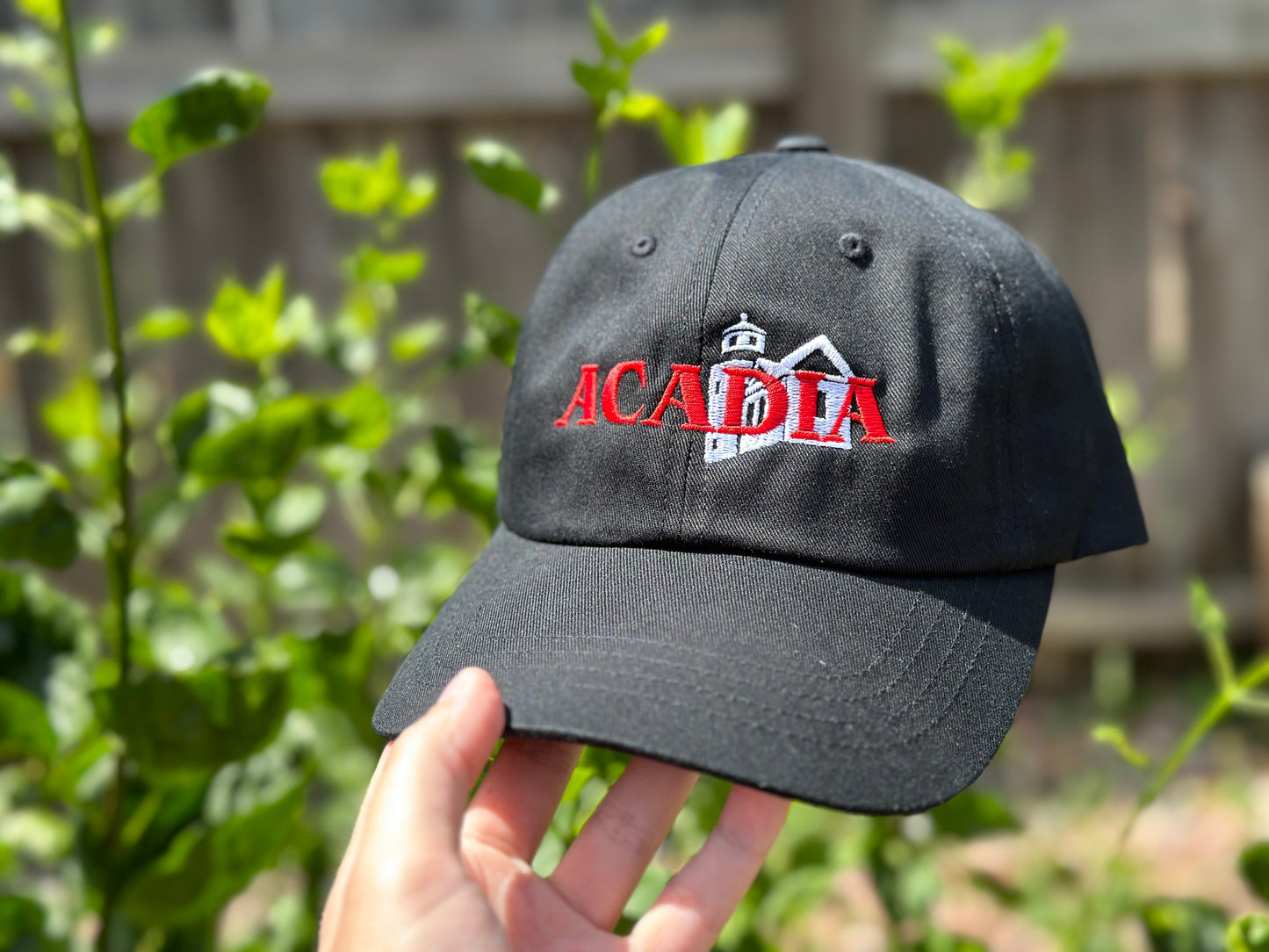 Acadia Dad Hat