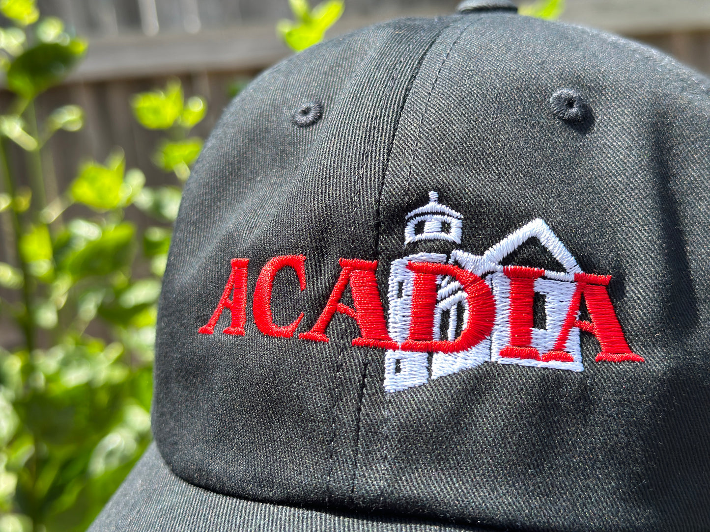 Acadia Dad Hat