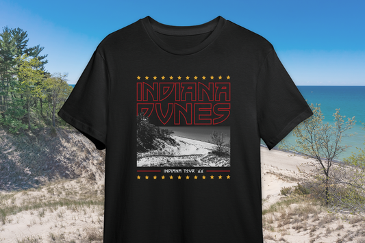 Black t-shirt with 'Indiana Dunes' graphic design on a scenic background