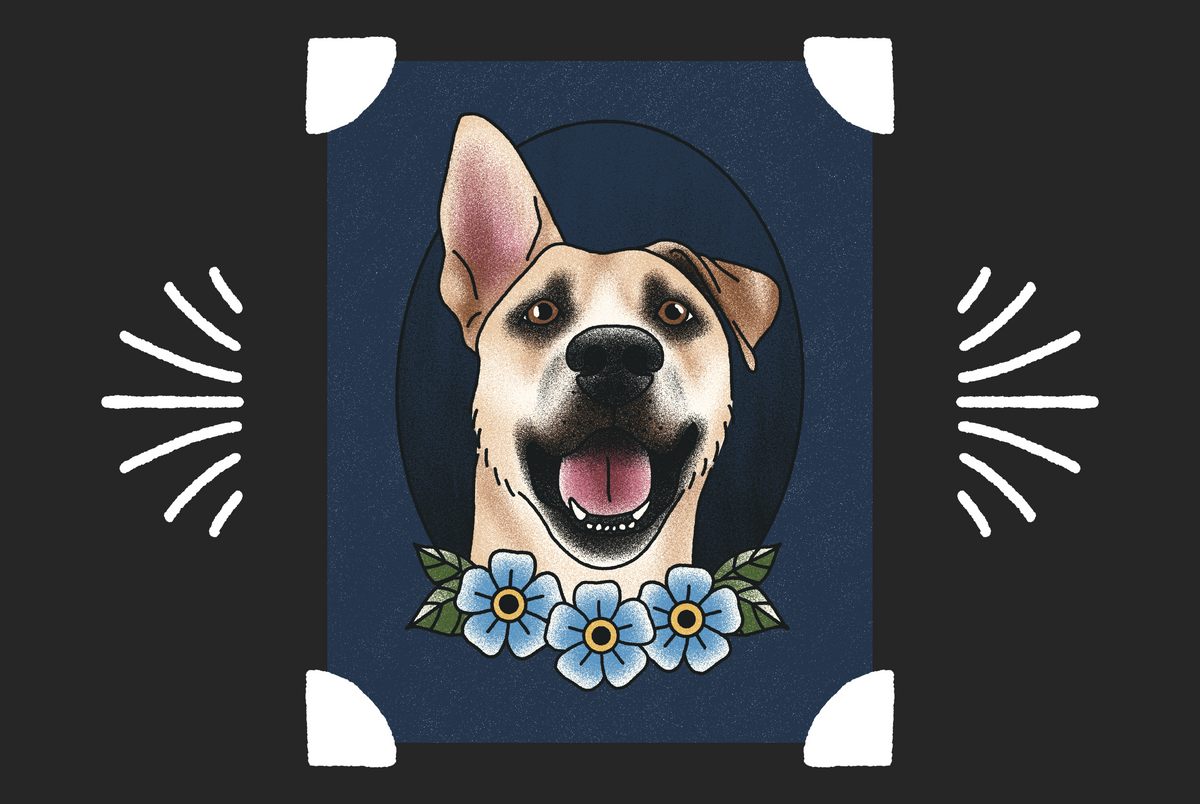 Illustration of a dog with a floral collar on a dark background