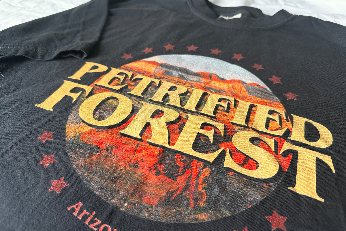 Black t-shirt with 'Petrified Forest Arizona' graphic design on a plain background