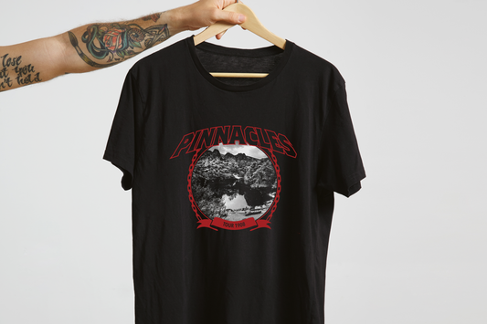 Black t-shirt with 'Pinnacles' graphic design on a hanger against a plain background