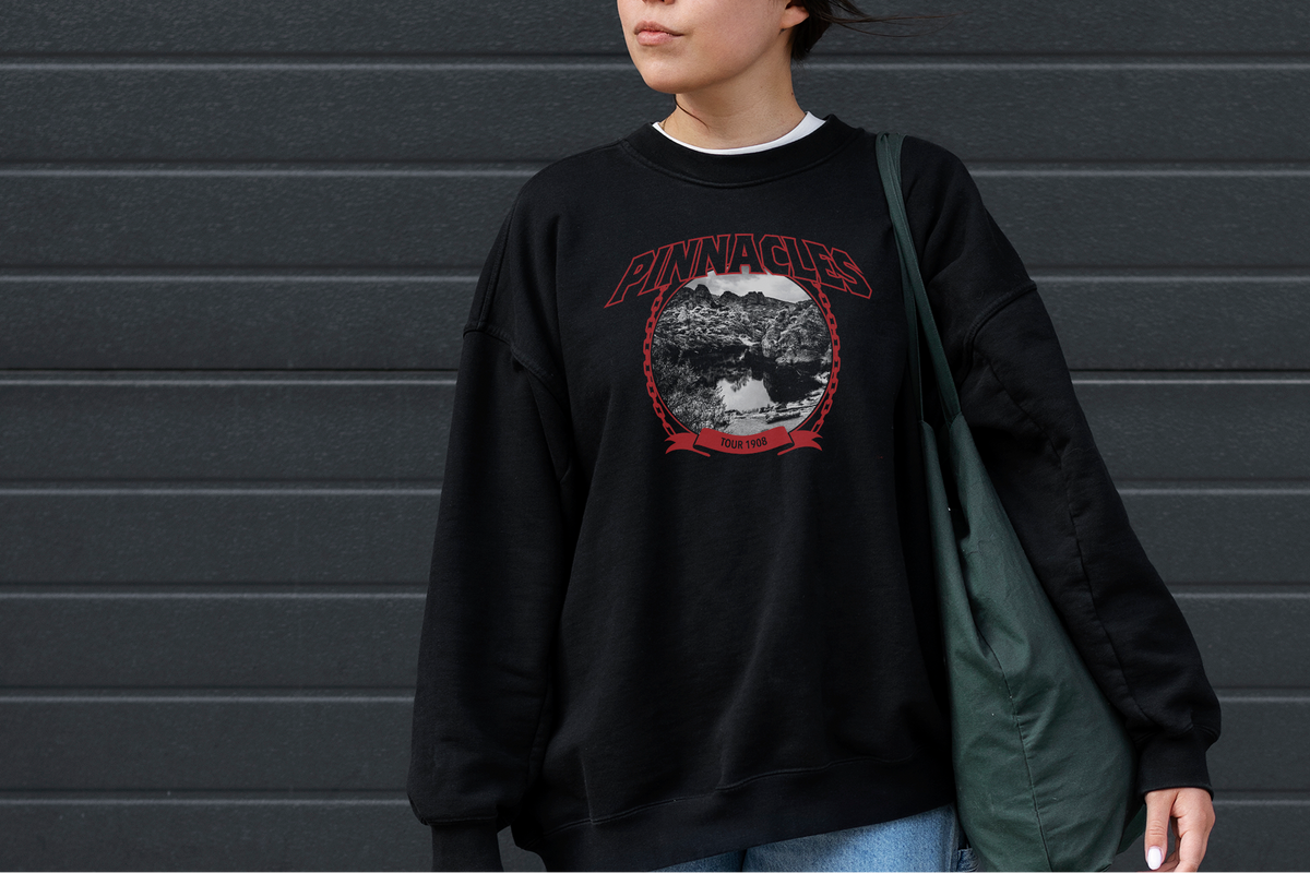 Person wearing a black sweatshirt with a 'Pinnacles' graphic design against a dark background