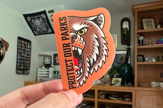 A hand holds a die-cut sticker featuring a bear illustration and the text 'PROTECT OUR PARKS' in black. The sticker has a bright orange border and is photographed in a real indoor room with shelves, decor, and furniture visible in the background.