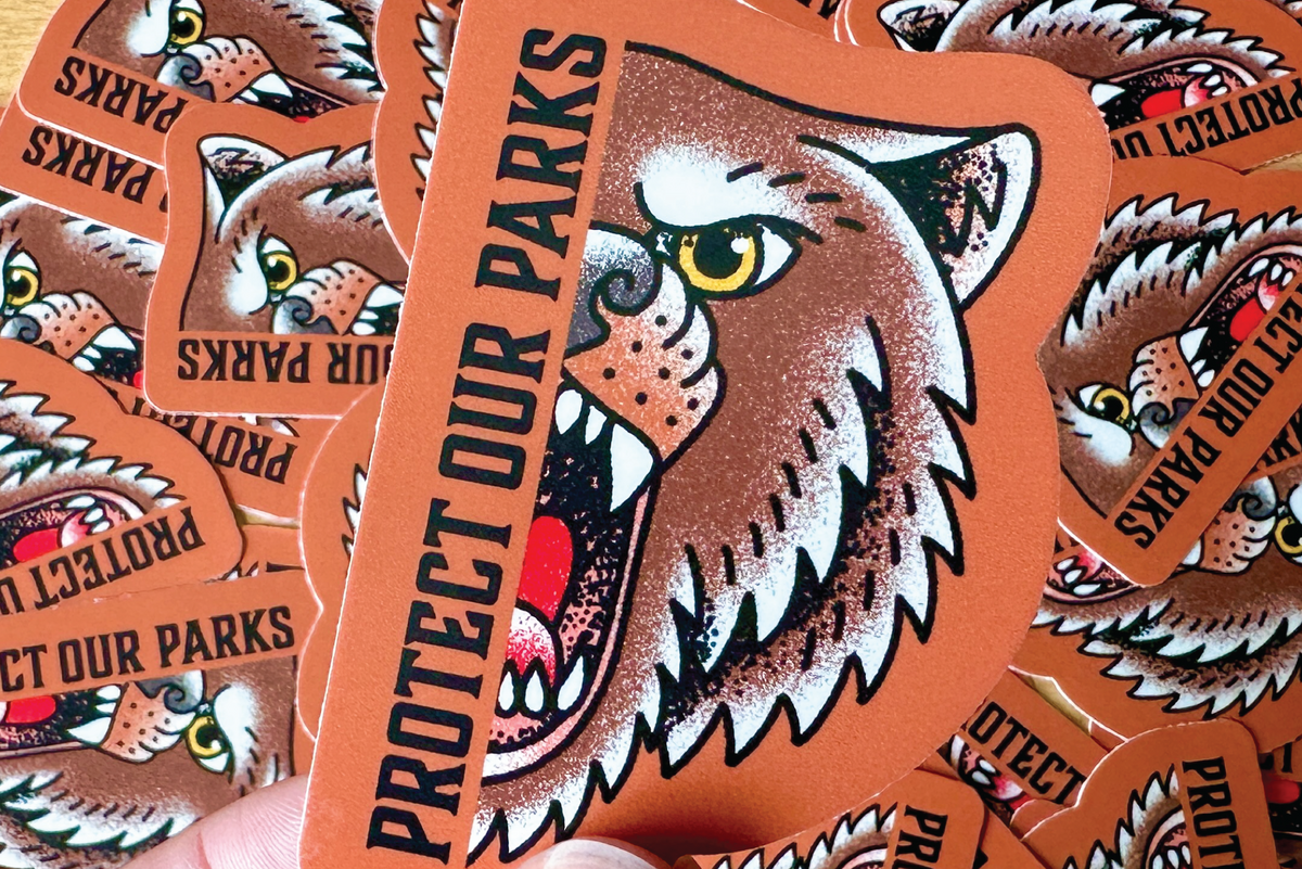 A hand holds a die-cut sticker featuring a bear illustration and the text 'PROTECT OUR PARKS' on an orange background, with multiple matching stickers scattered on a wooden surface.