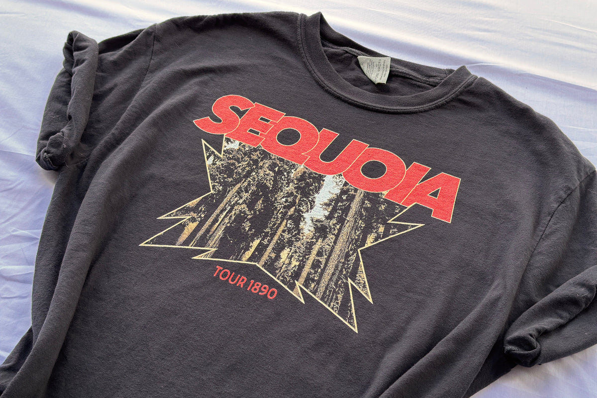 Black t-shirt with 'SEQUOIA' and forest graphic on a white background