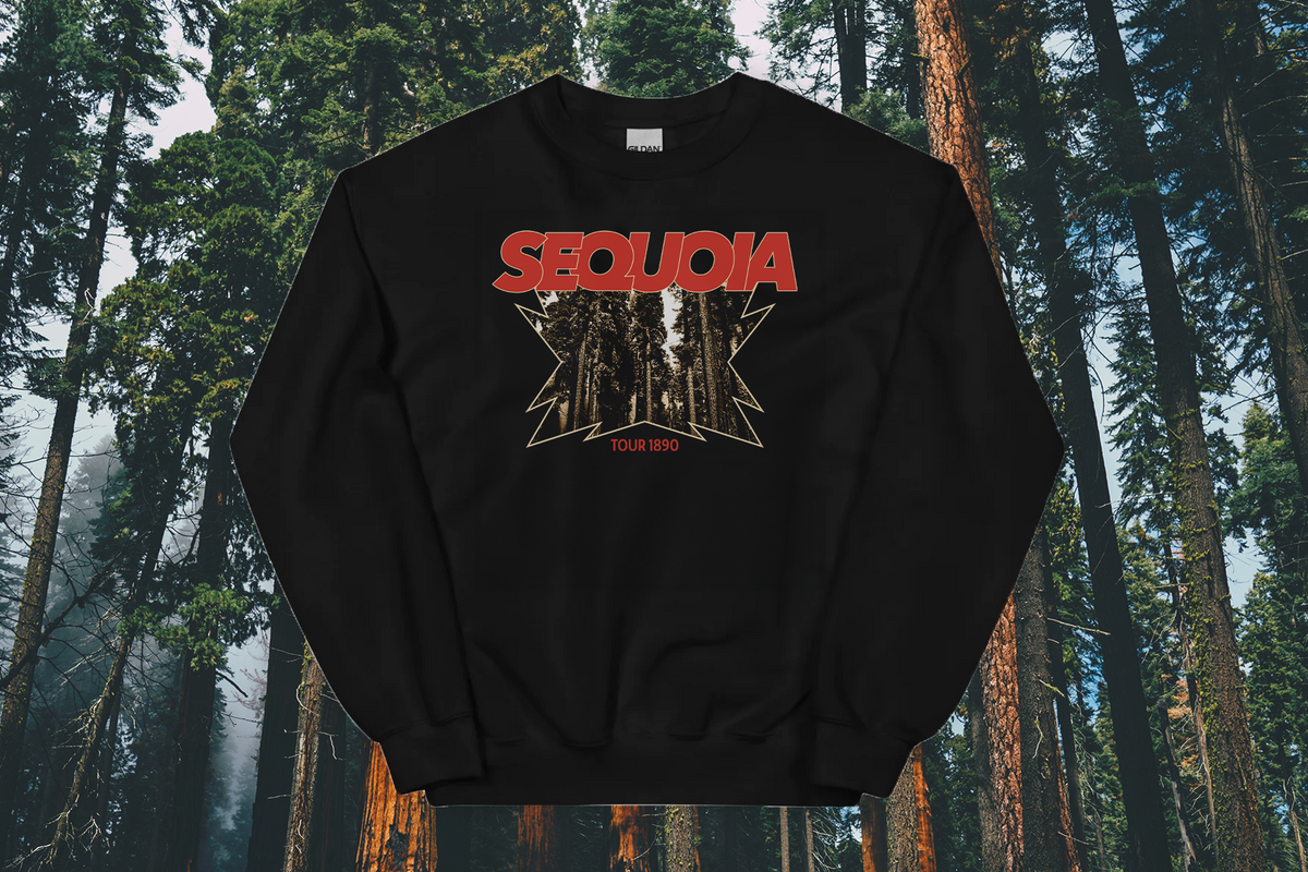 Black sweatshirt with 'Sequoia National Park' design in a forest setting