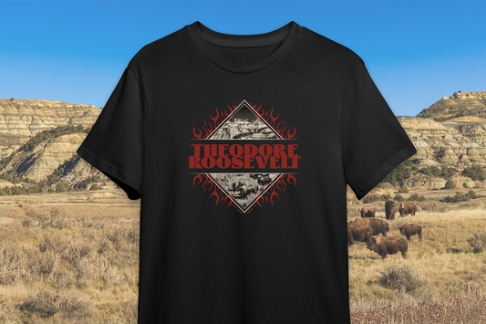 Black t-shirt with a 'Theodore Roosevelt' graphic design on a scenic background.