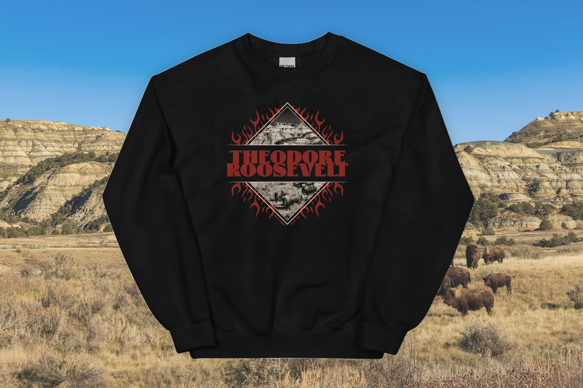 Black sweatshirt with 'Theodore Roosevelt' design on a background of a grassy field and mountains.